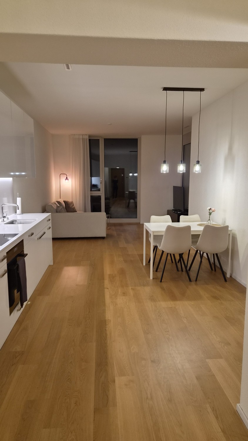 2 ½ rooms apartment