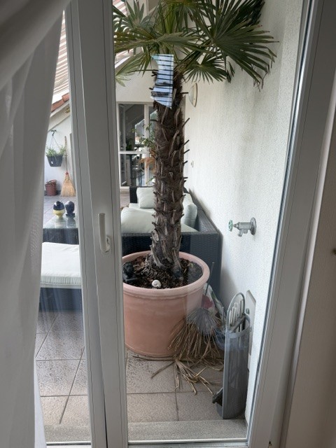Room in a shared flat, photo 5 of 7
