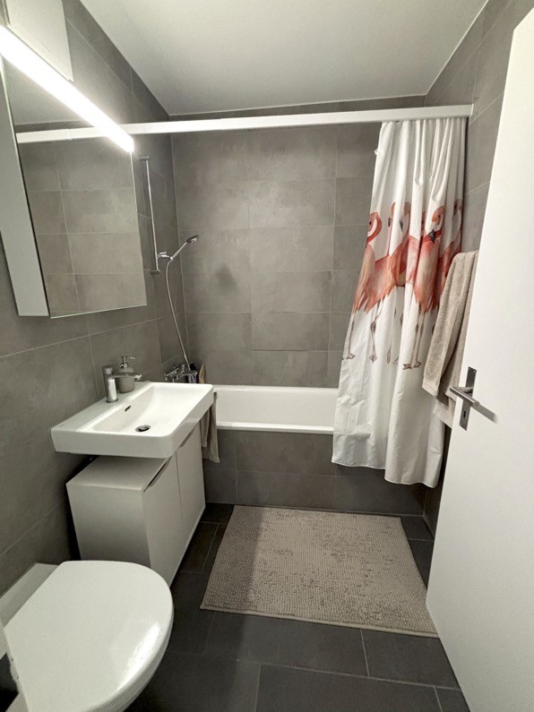 4 ½ rooms apartment