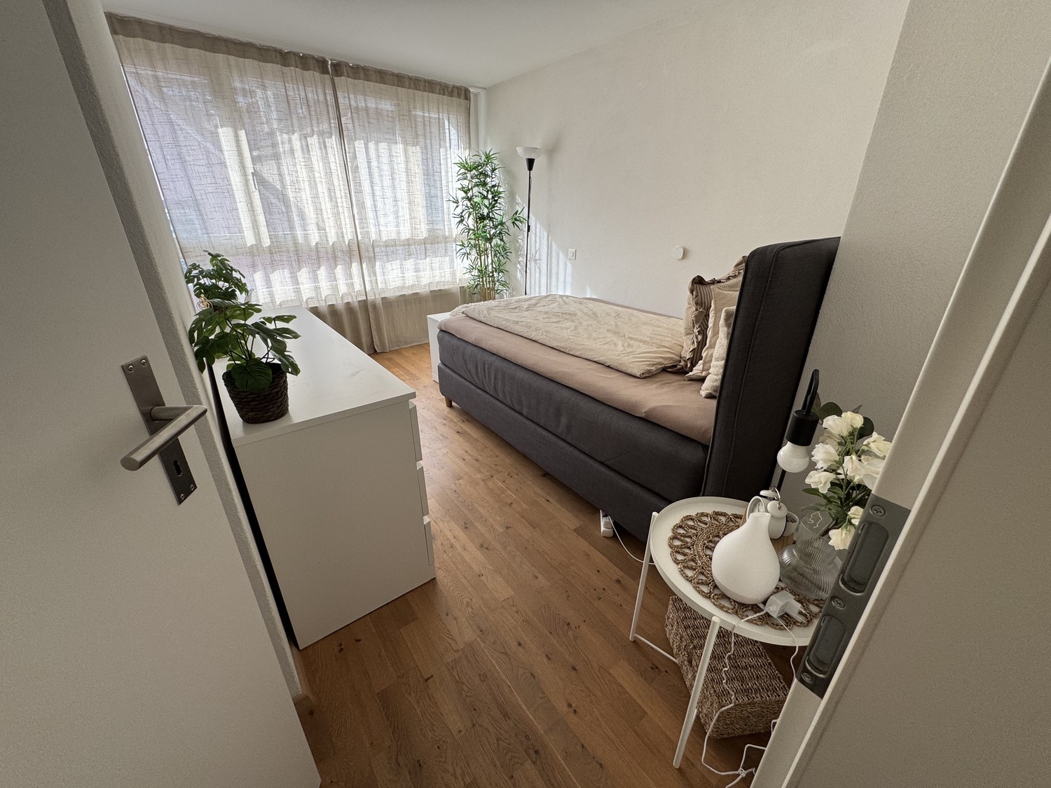 Room in a shared flat
