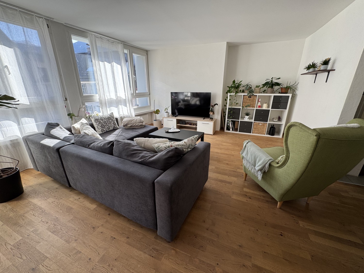 Room in a shared flat