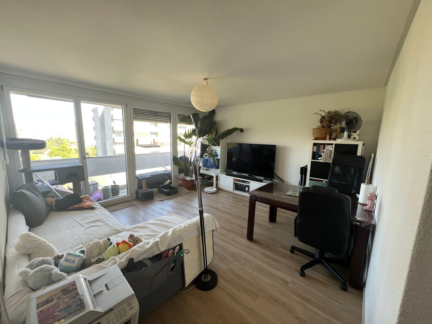 Room in a shared flat