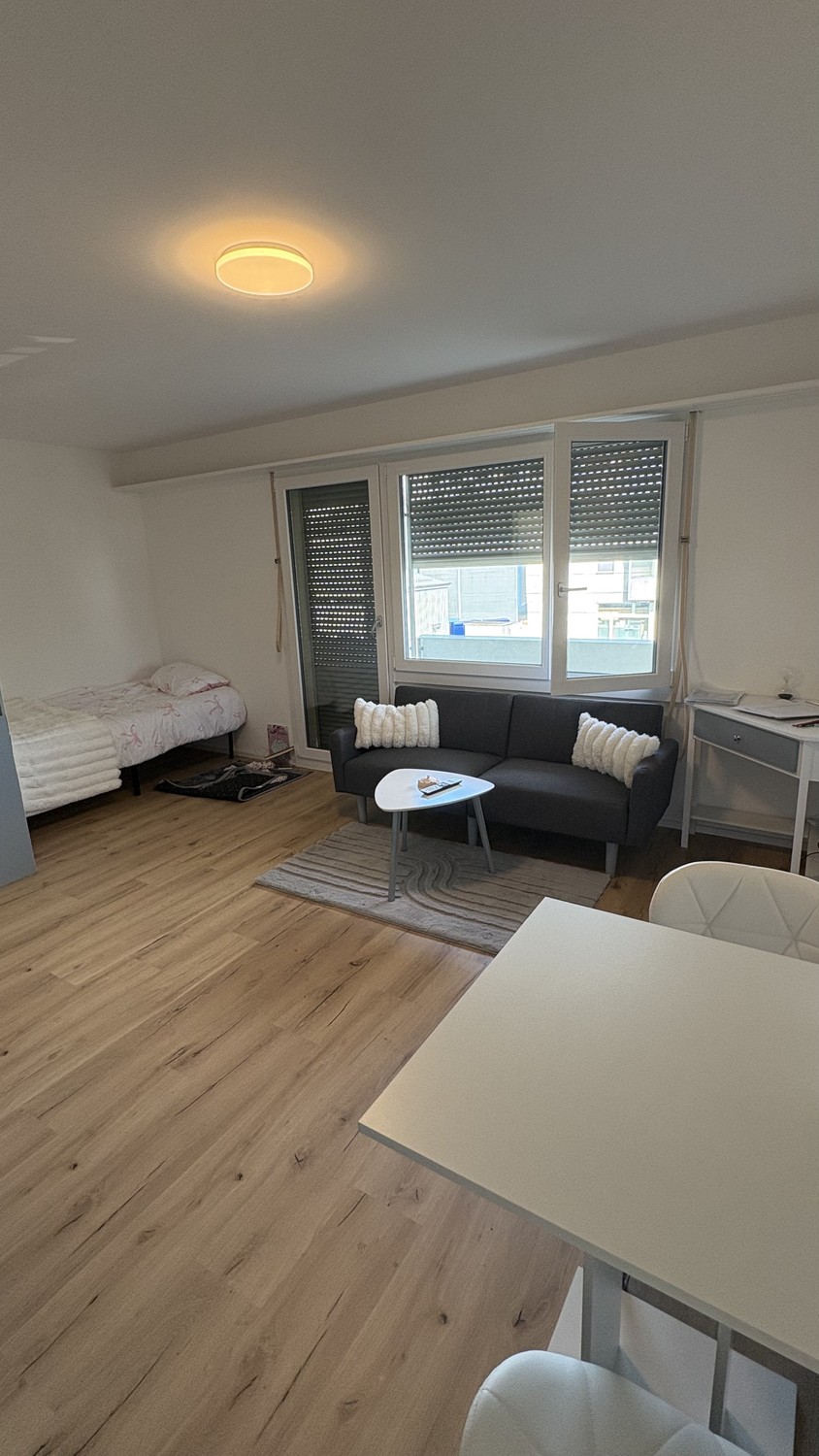 1 room apartment