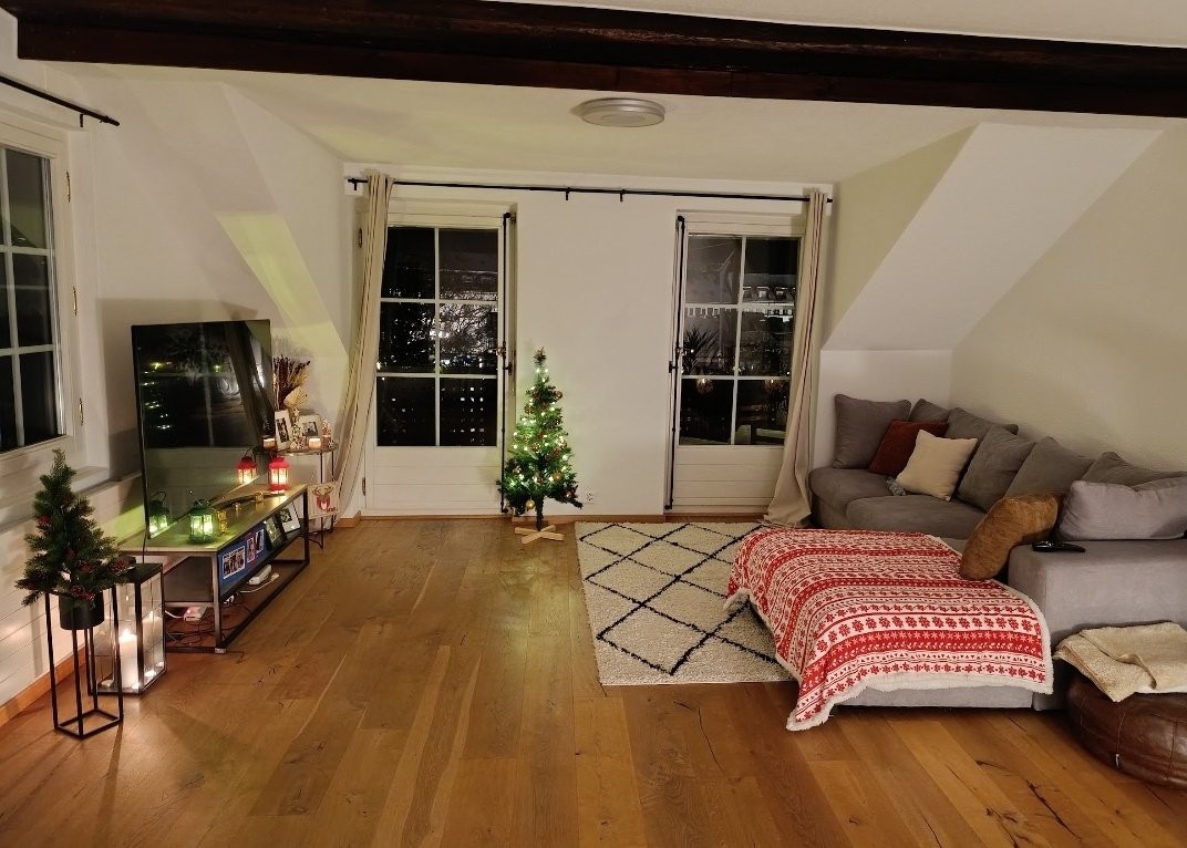 2 ½ rooms furnished flat