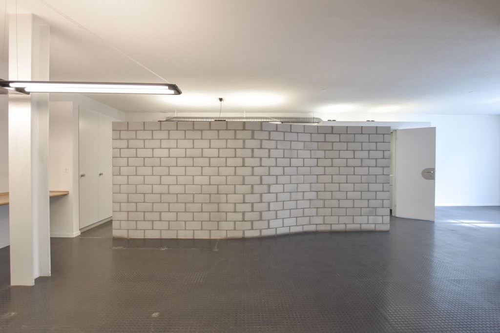 133m² commerciale