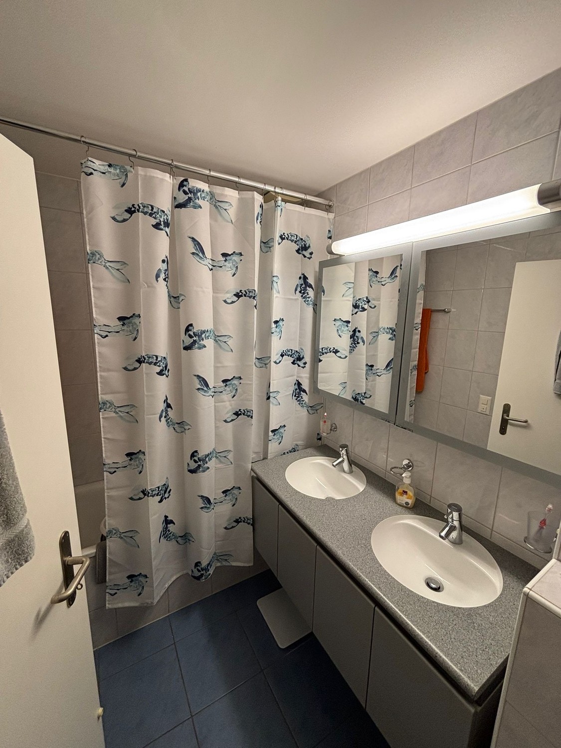 Appartement de 3 ½ pièces