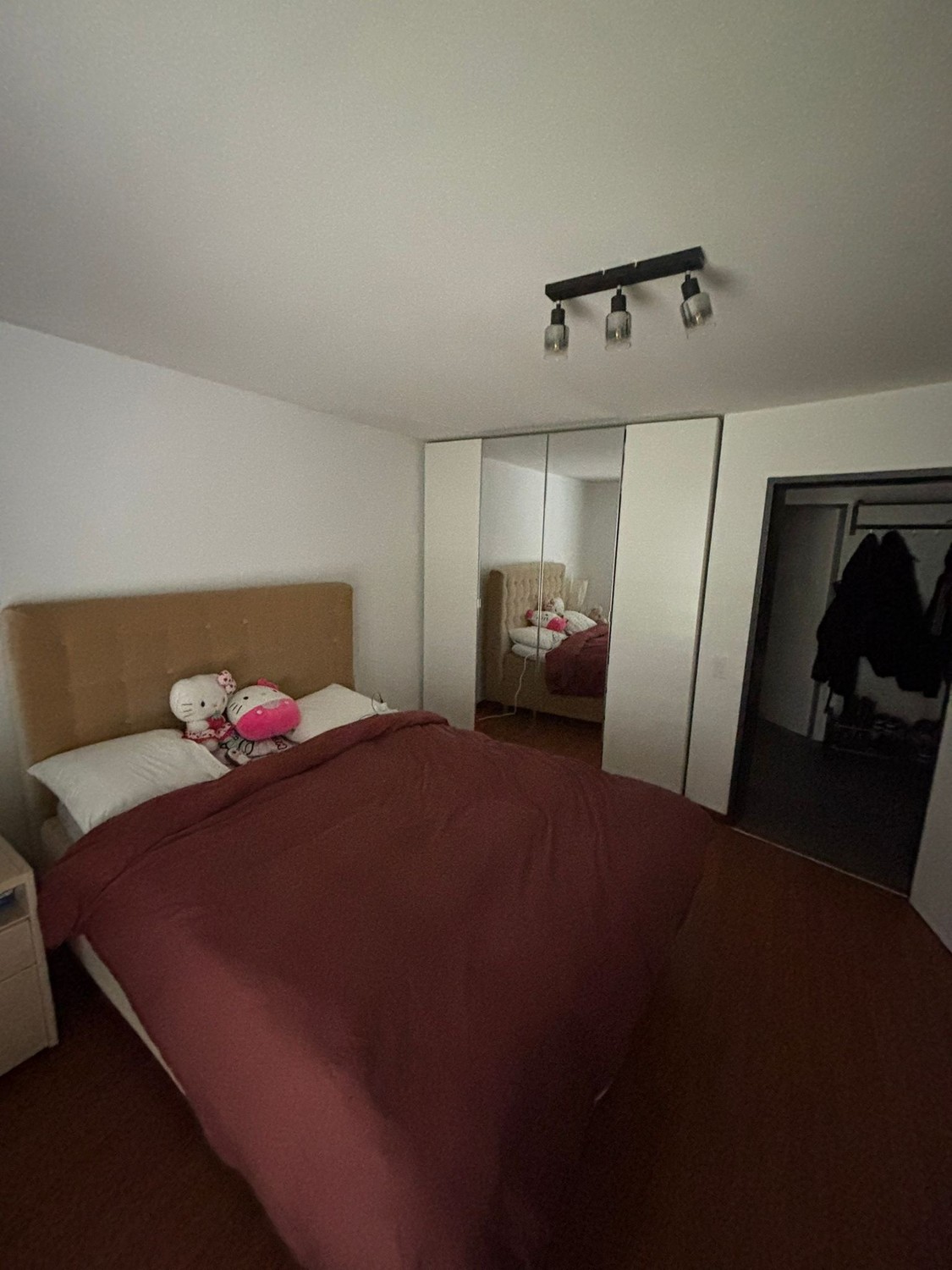 Appartement de 3 ½ pièces