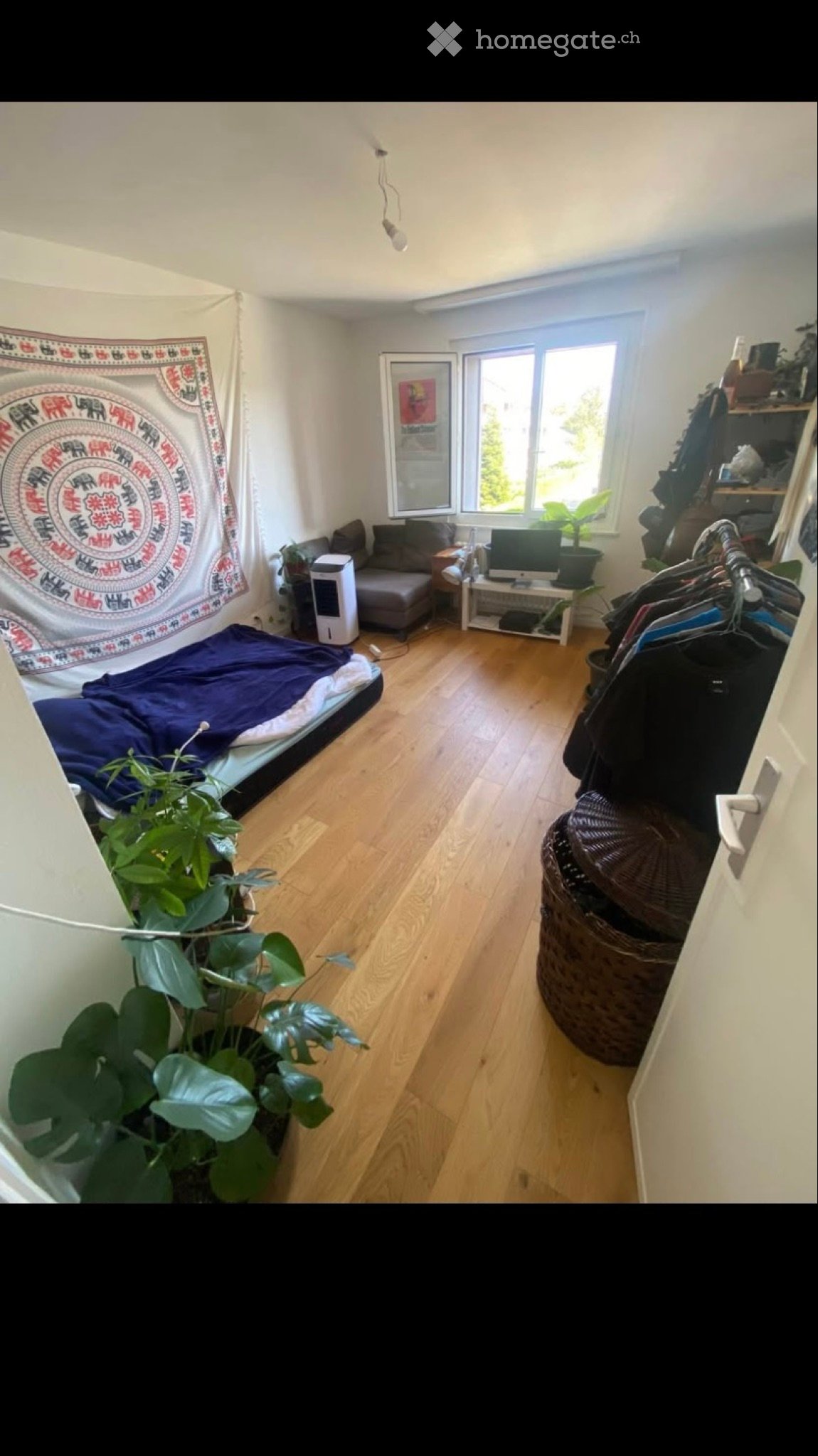 1 room single room