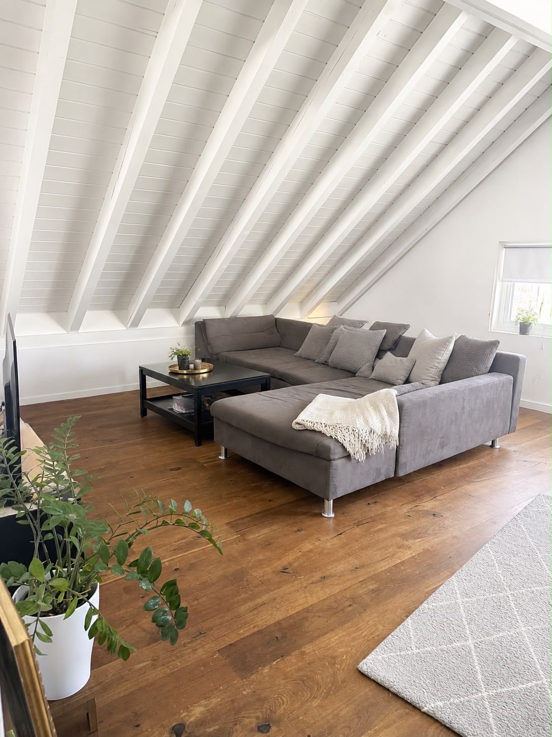 4 pièces appartement
