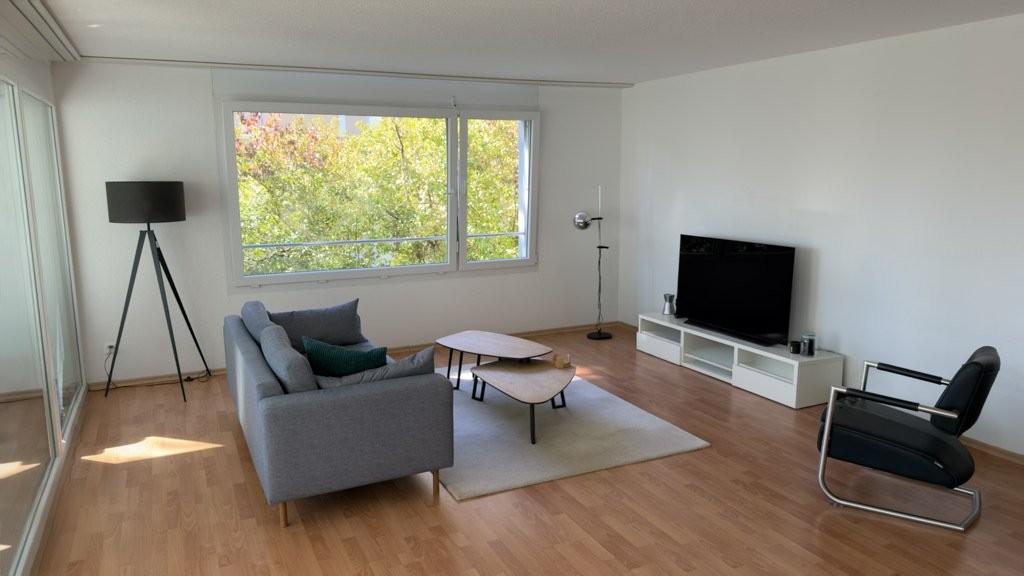 3 ½ rooms furnished flat
