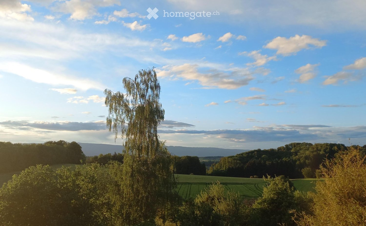 1 room single room, photo 3 of 4