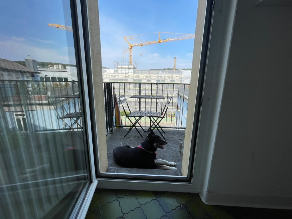 Room in a shared flat, photo 8 of 10