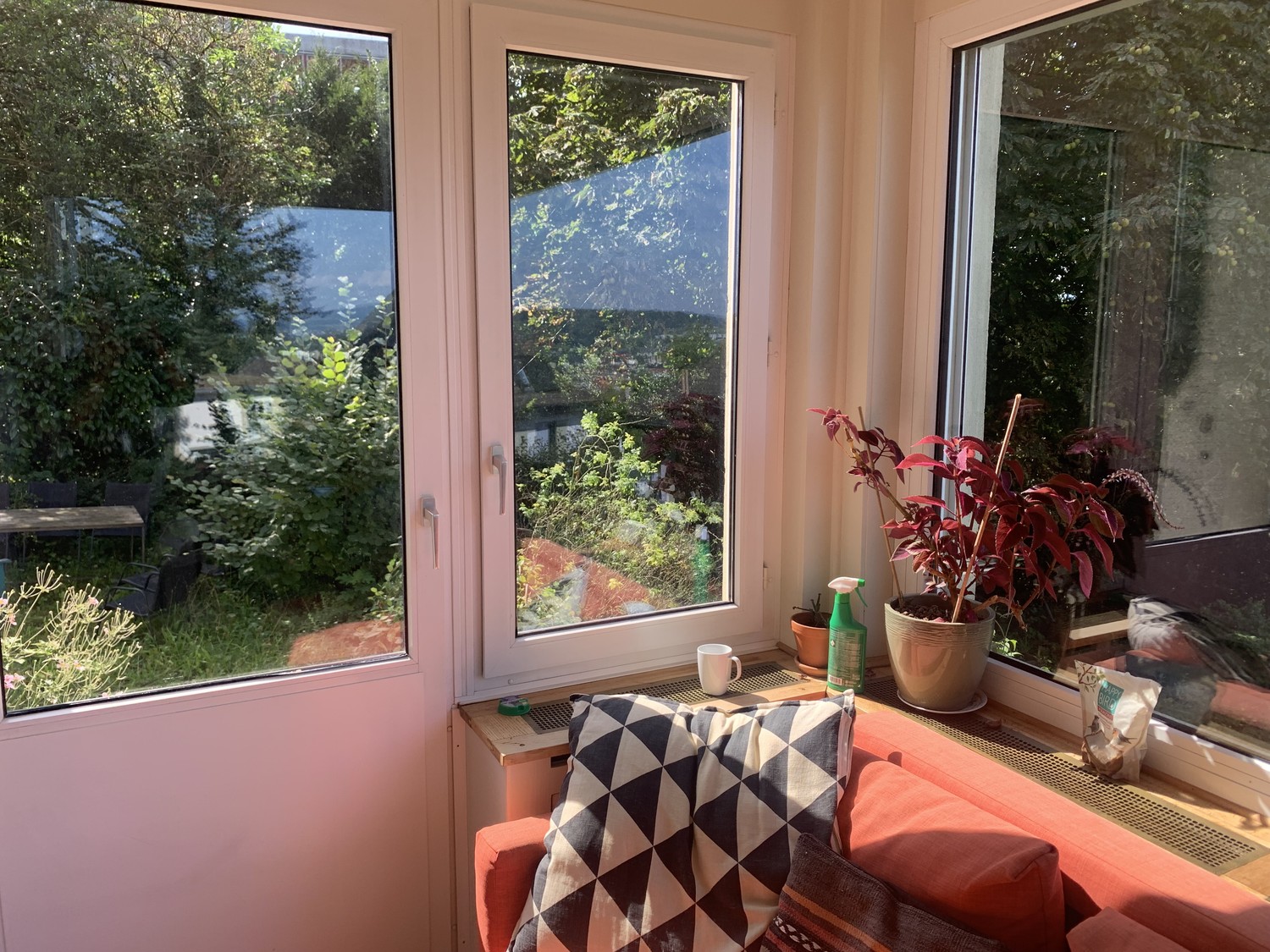 Room in a shared flat