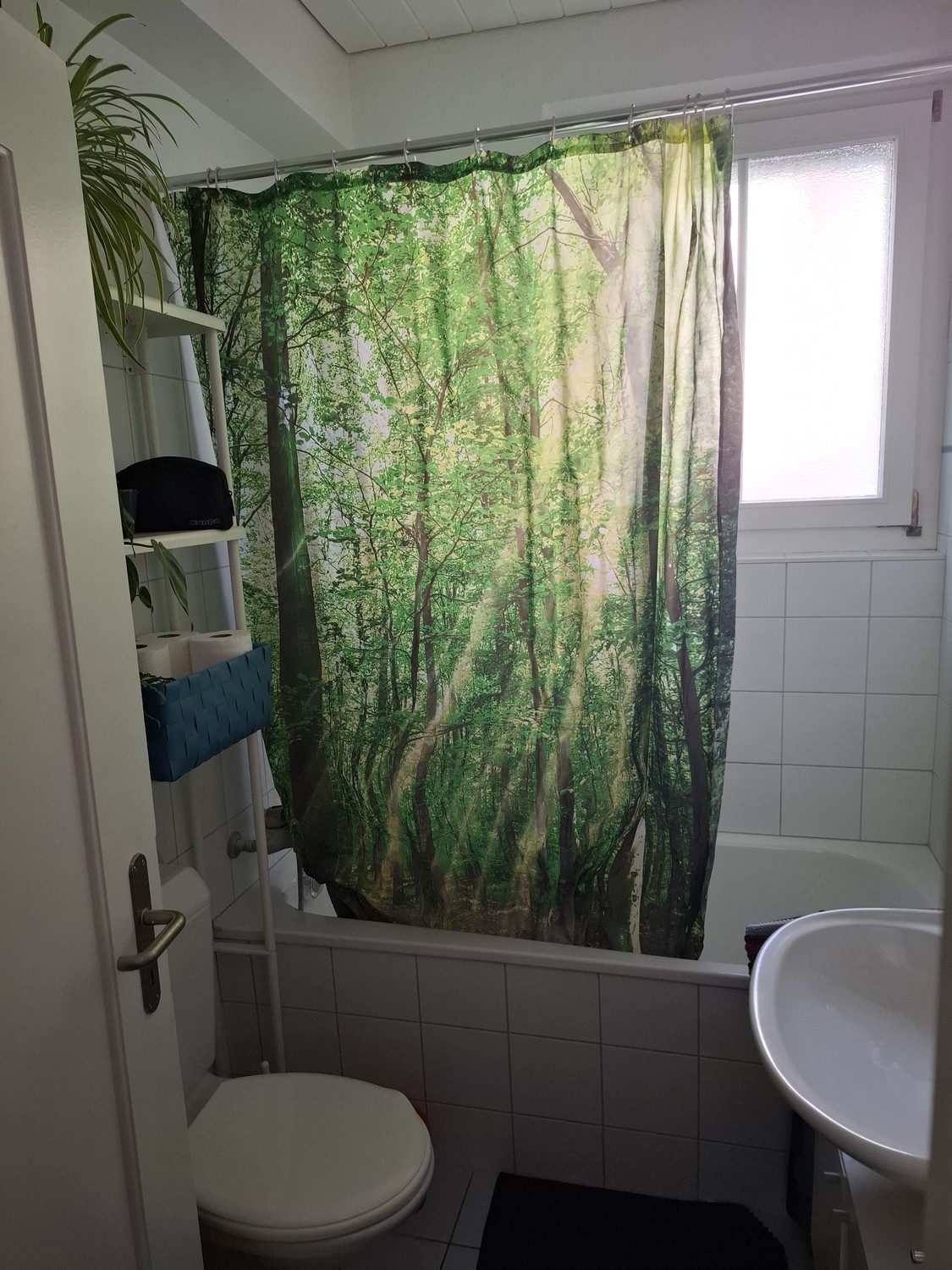 2 ½ rooms apartment, photo 4 of 7