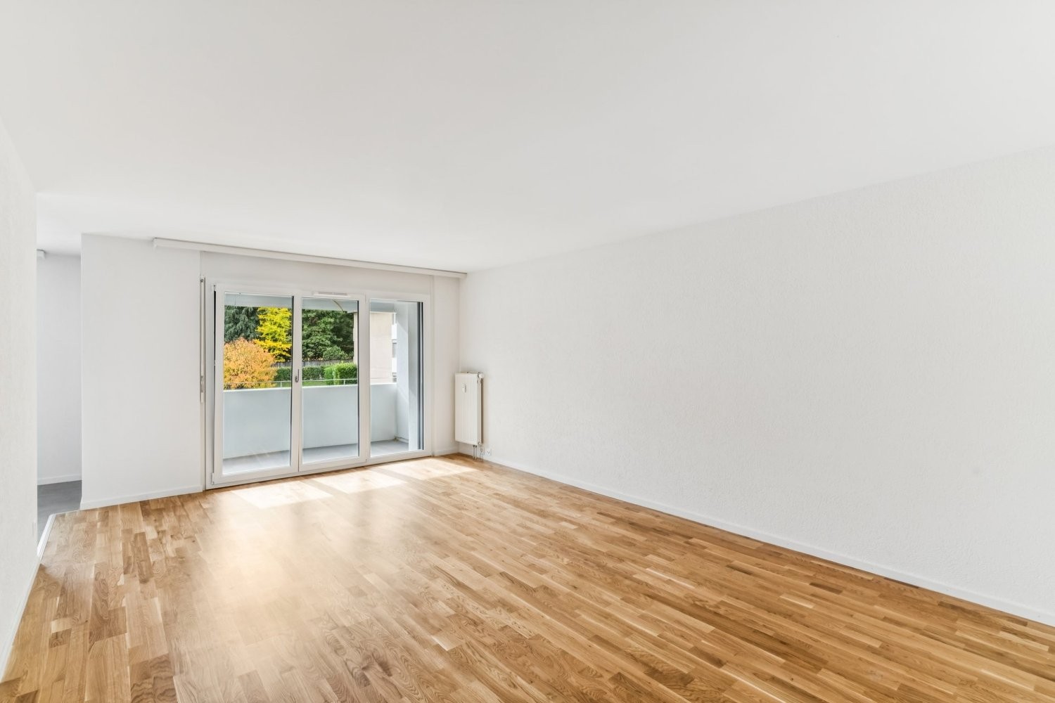 2 ½ Zimmer Wohnung