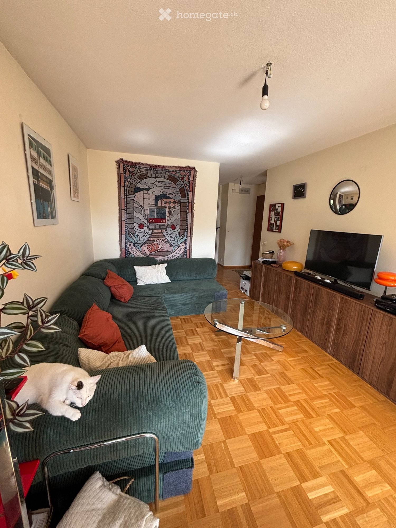 Appartamento di 2 ½ locali, foto 1 di 5
