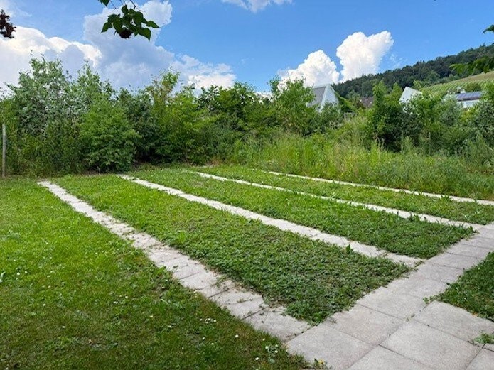 Allotment garden