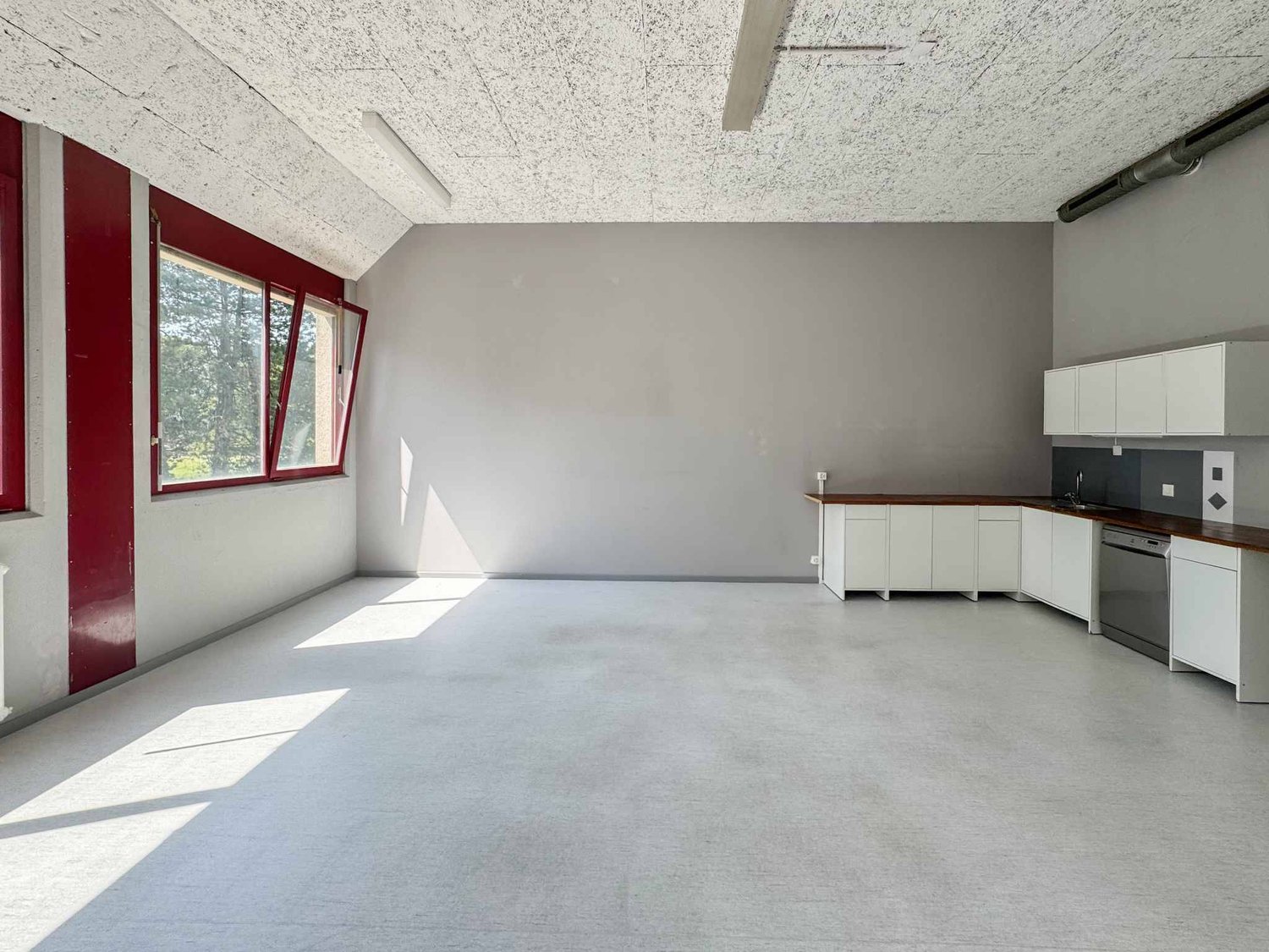 365m² commercial, photo 4 of 10
