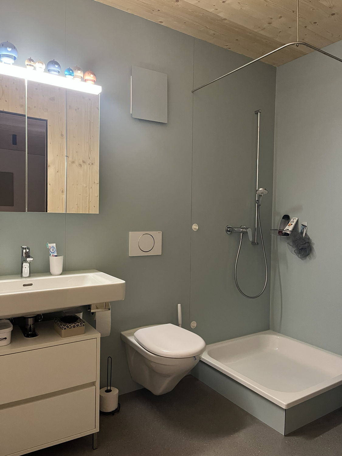 Room in a shared flat