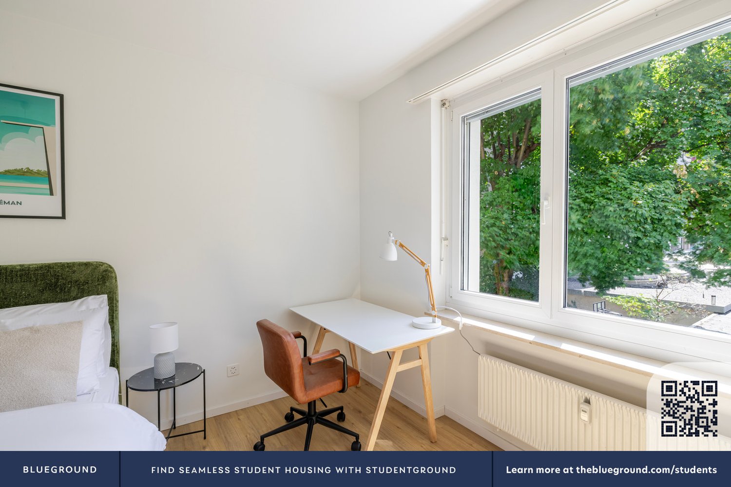 3 ½ rooms furnished flat