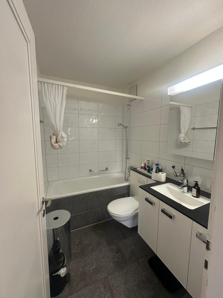 Appartamento di 2 ½ locali