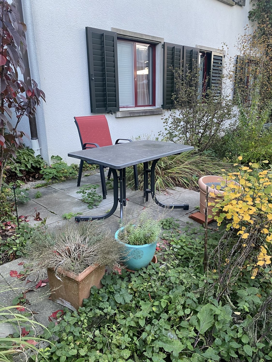 3 ½ rooms furnished flat