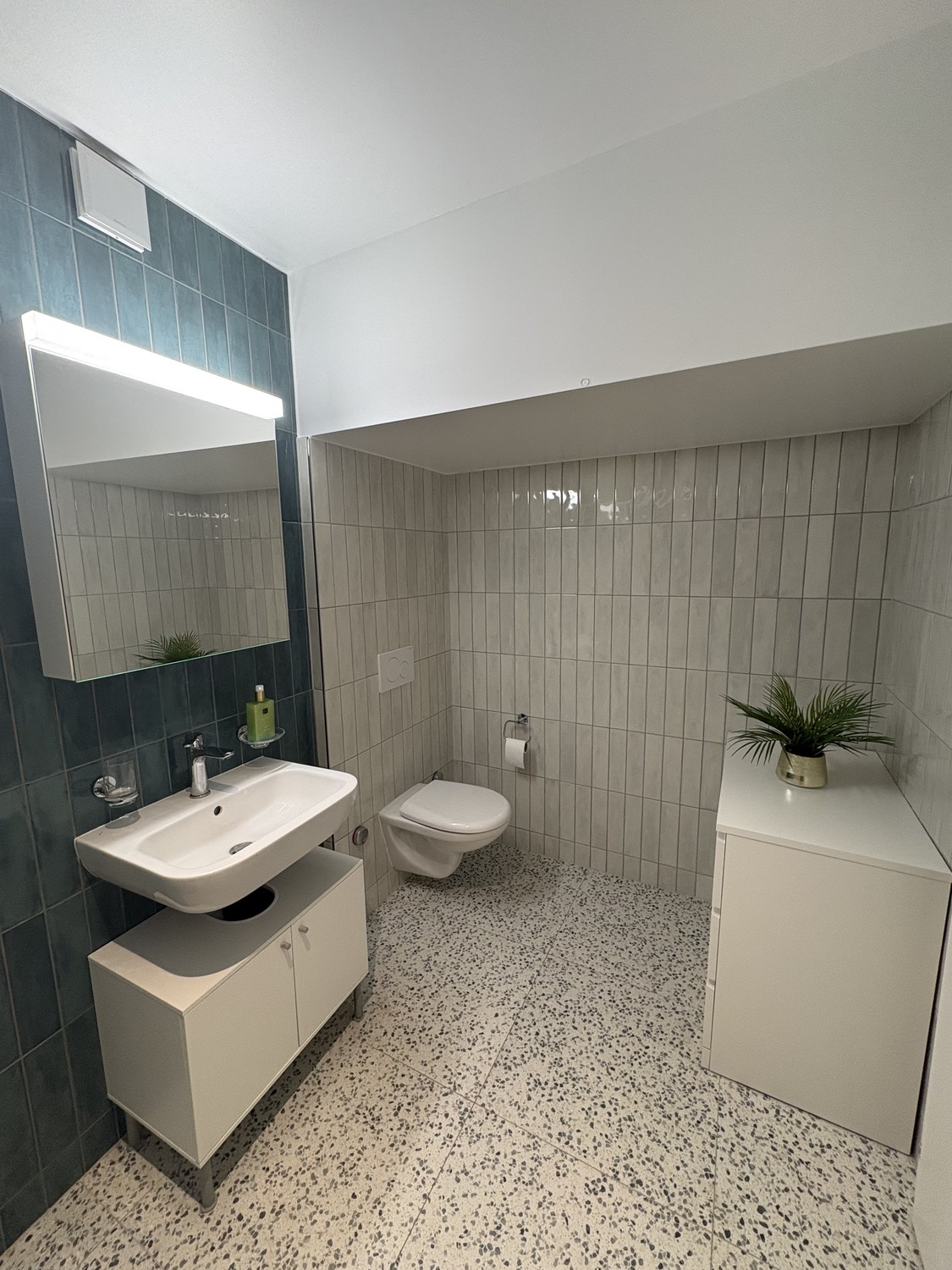 2 ½ rooms apartment