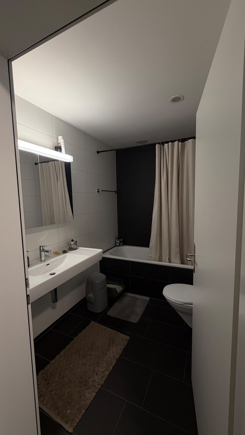 3 ½ rooms apartment, photo 4 of 10