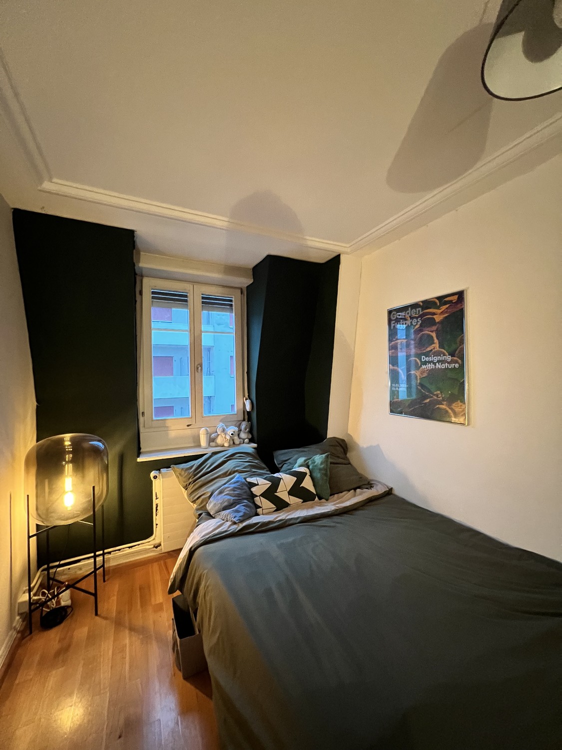 Room in a shared flat