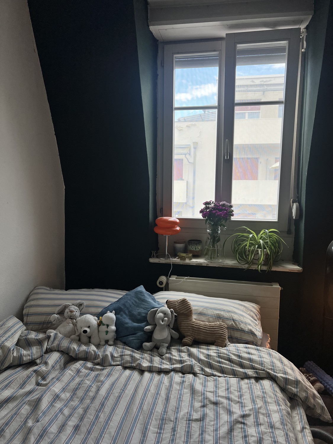 Room in a shared flat