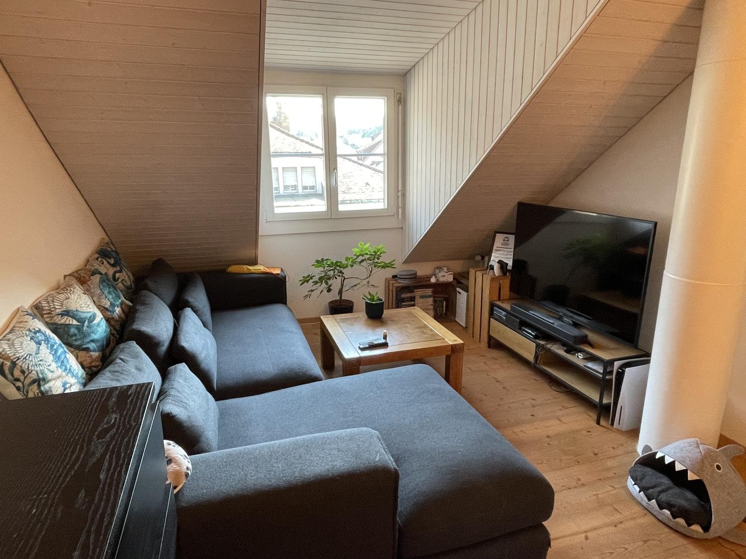 4 ½ rooms apartment, photo 9 of 10