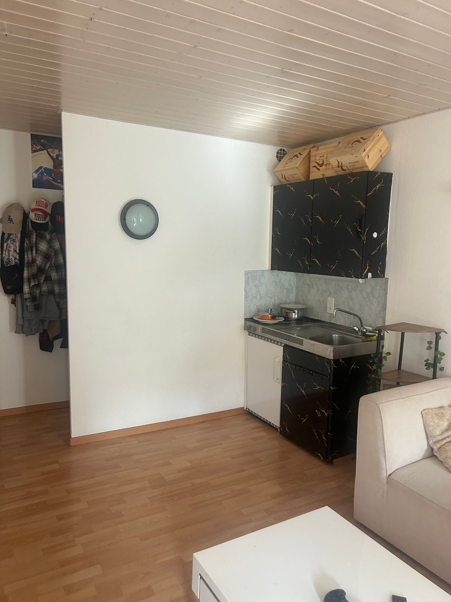 1 room apartment