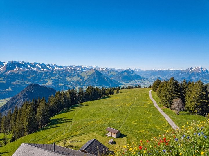 10033m² building land, photo 5 of 8