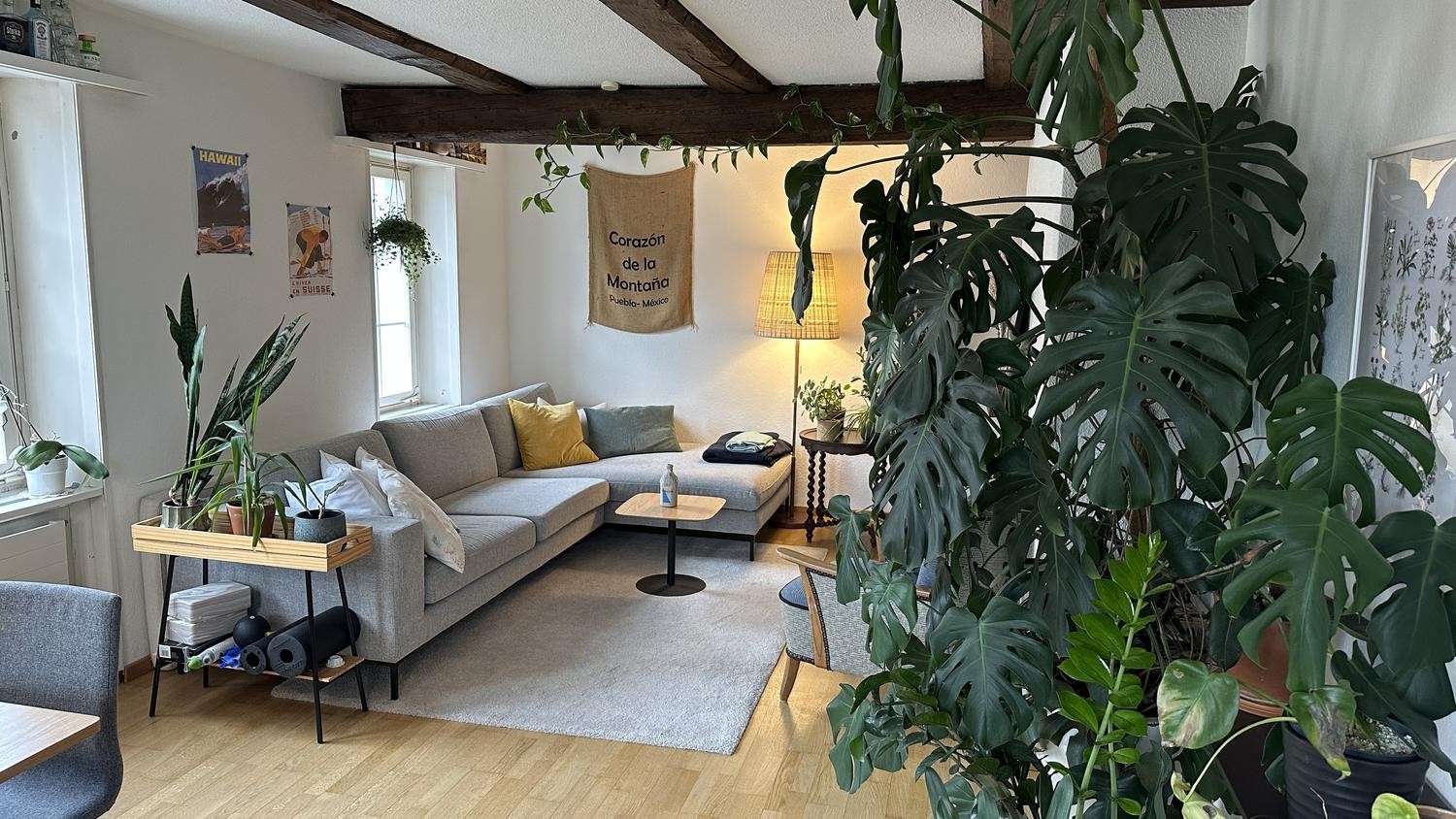 Room in a shared flat