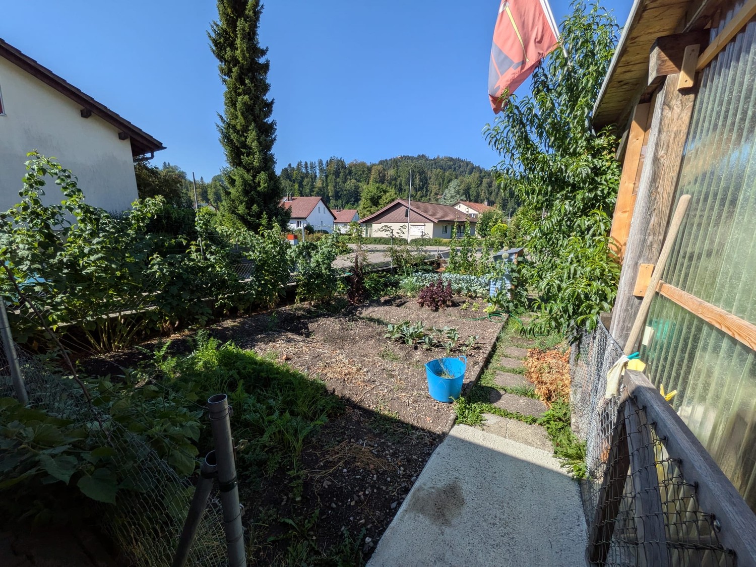 Appartement de 1 ½ pièces