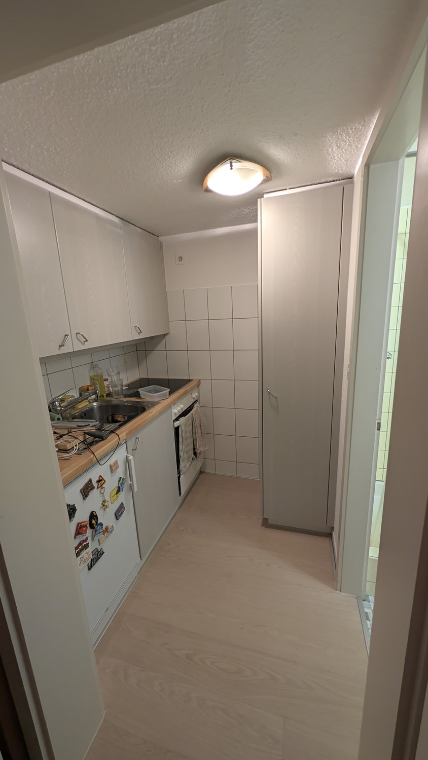 2 ½ rooms apartment