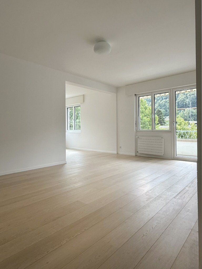 4 ½ Zimmer-Wohnung