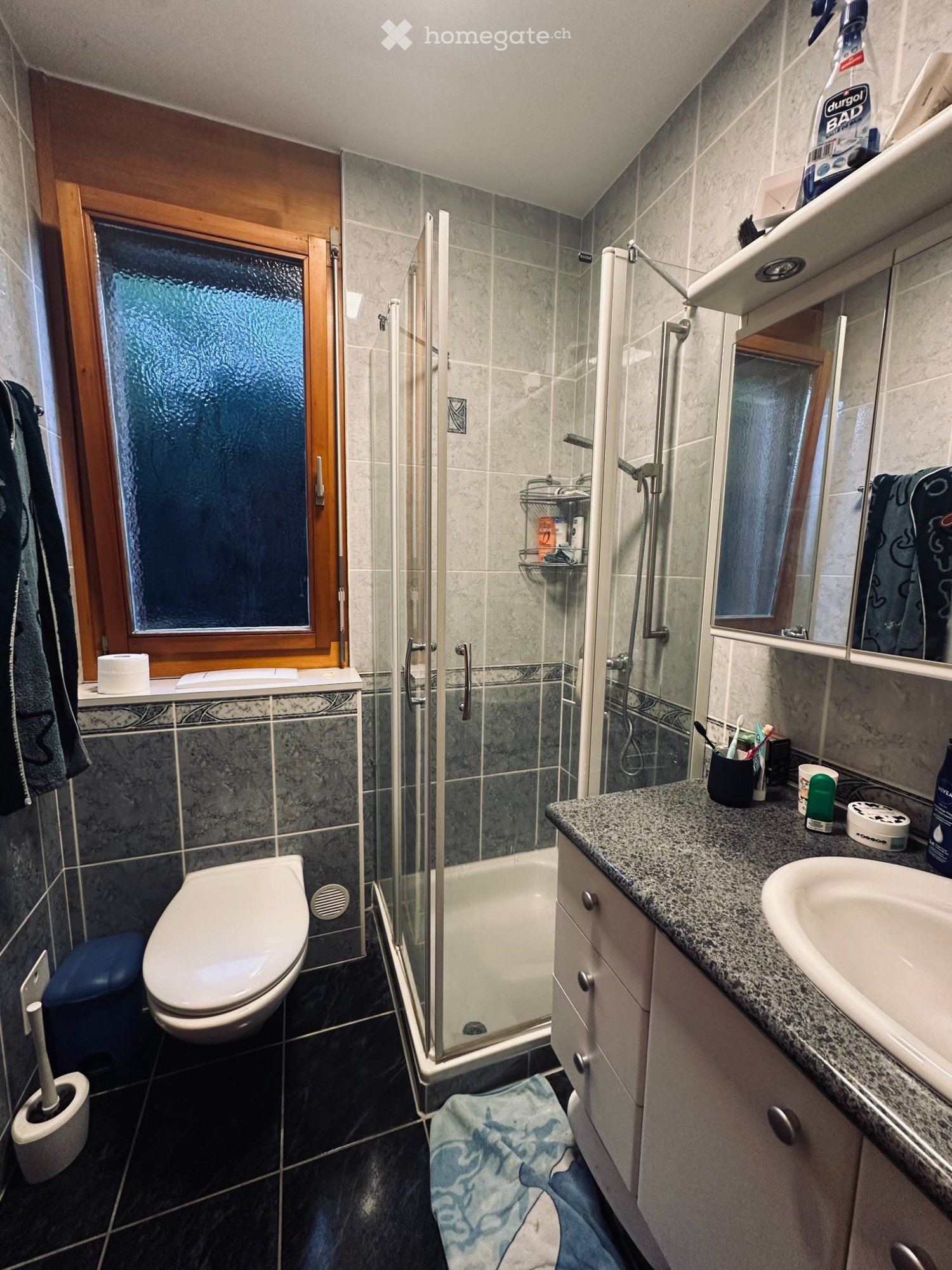 5 ½ rooms single house
