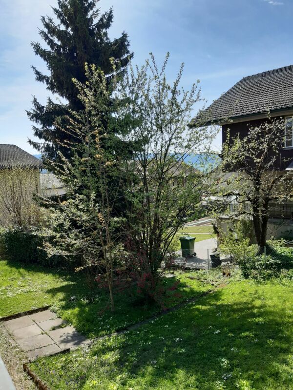 3 rooms apartment, Foto 1 von 10
