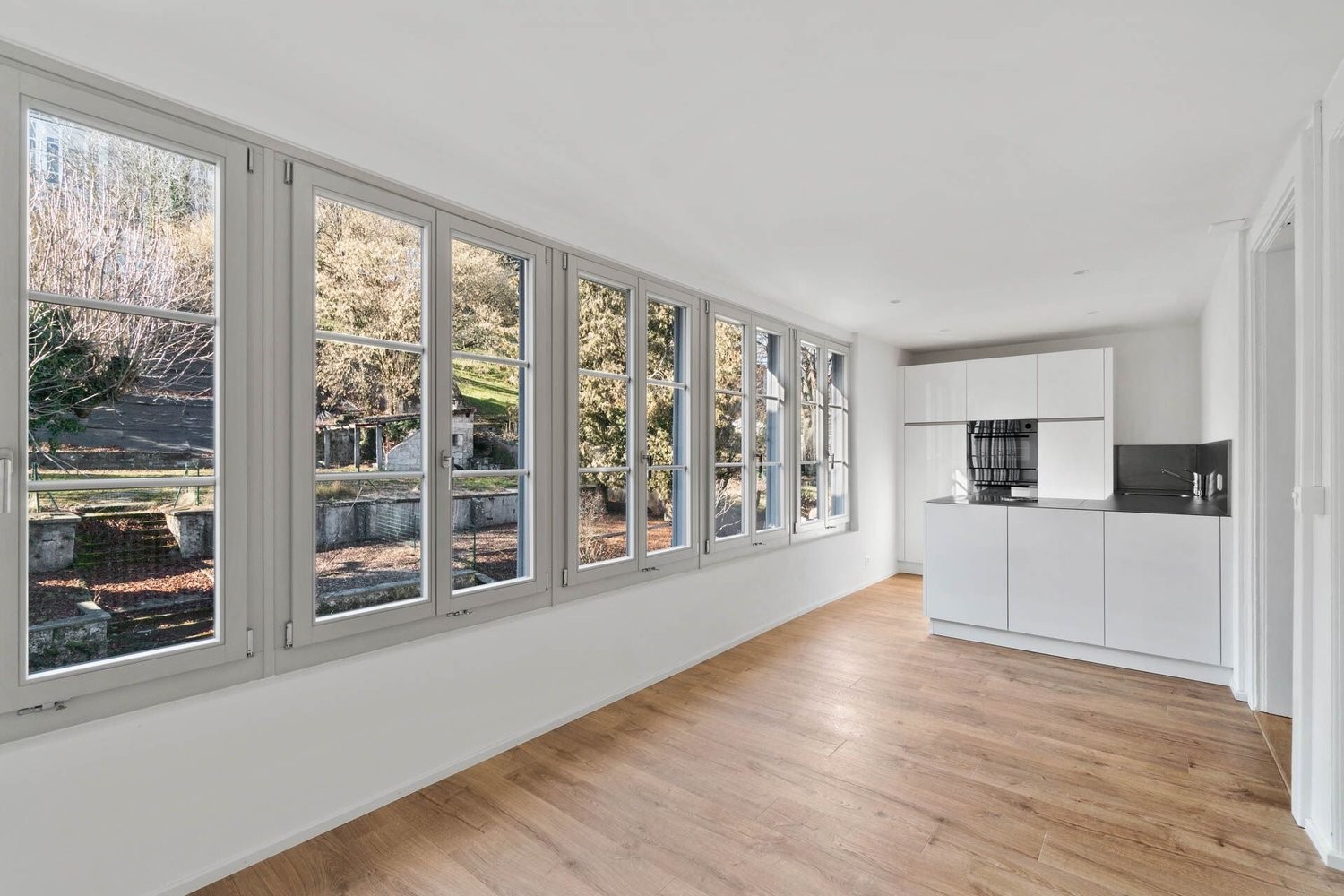 3 ½ rooms apartment