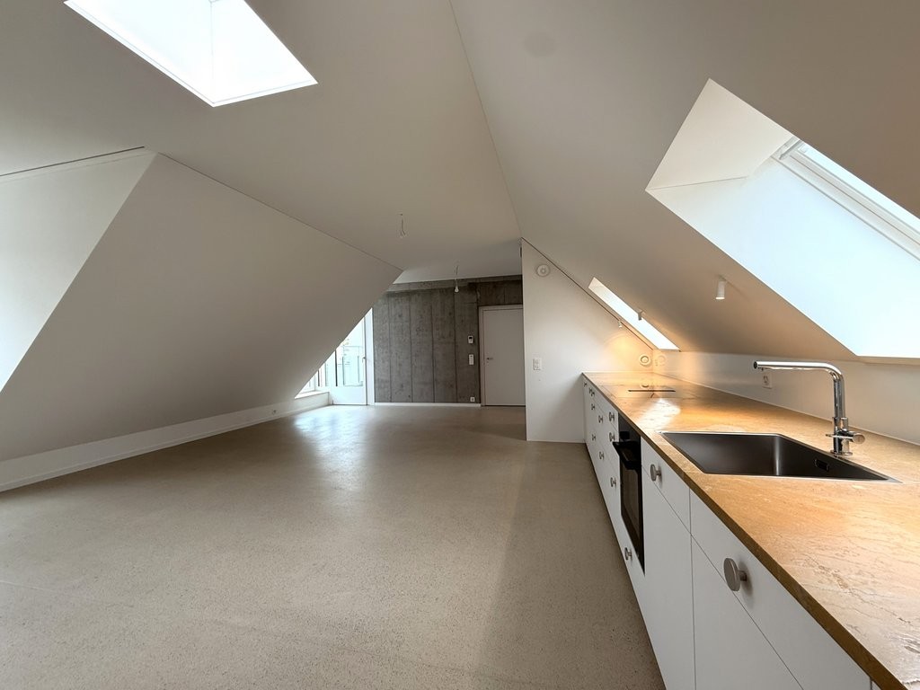 1 ½ pièces appartement au dernier étage
