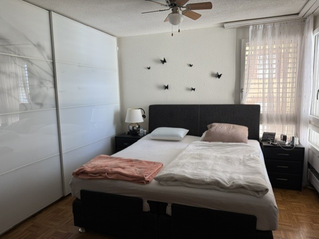 Appartement 3 ½ pièces (6)