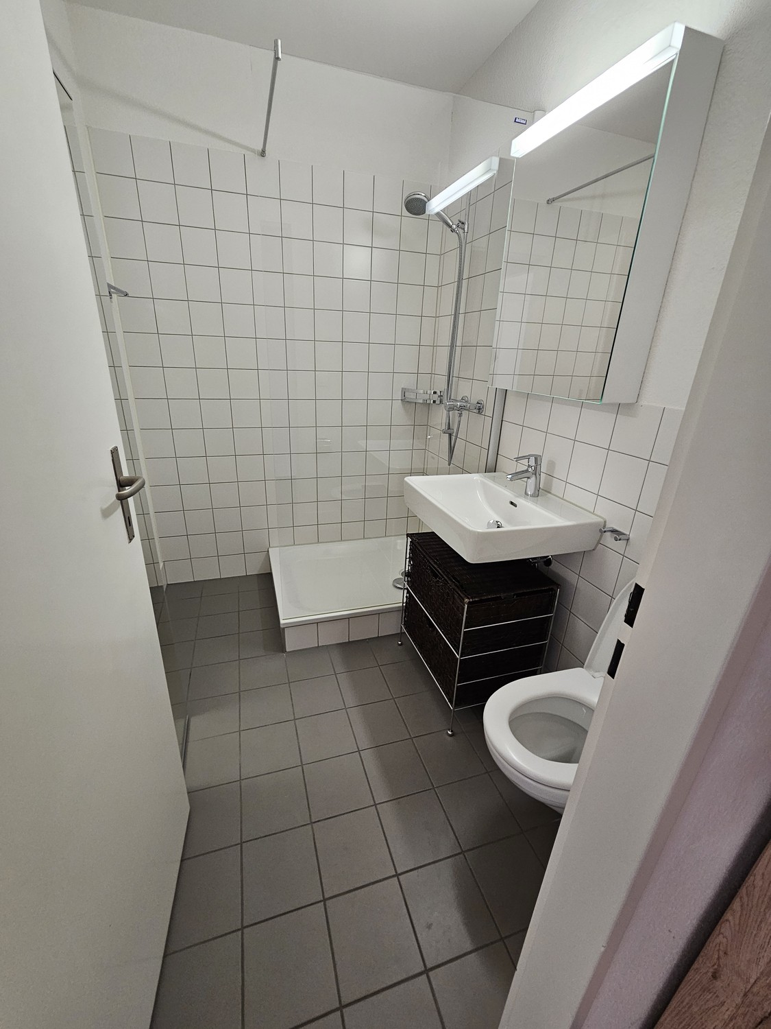 3 ½ room apartment