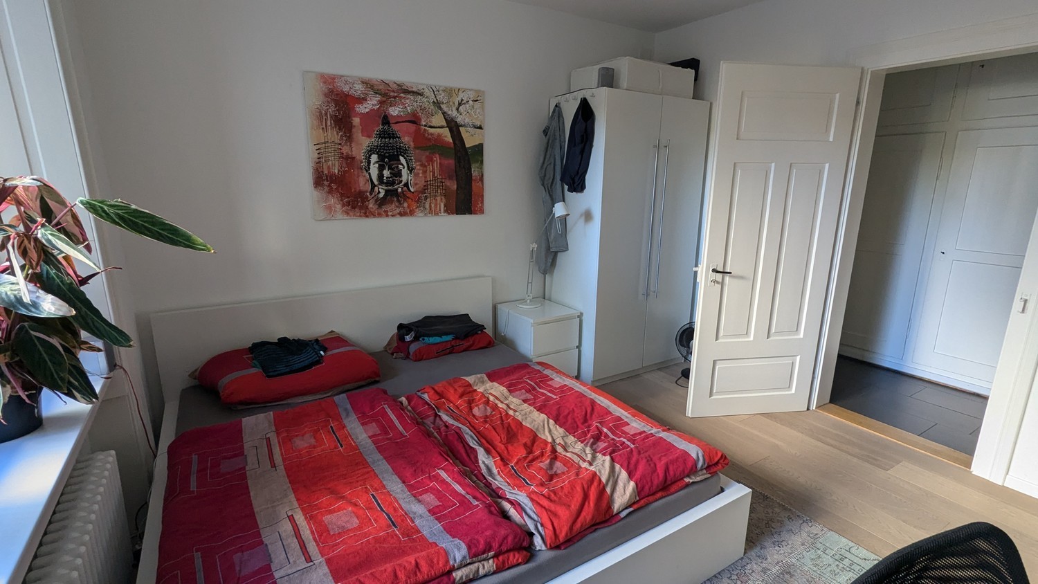 Room in a shared flat