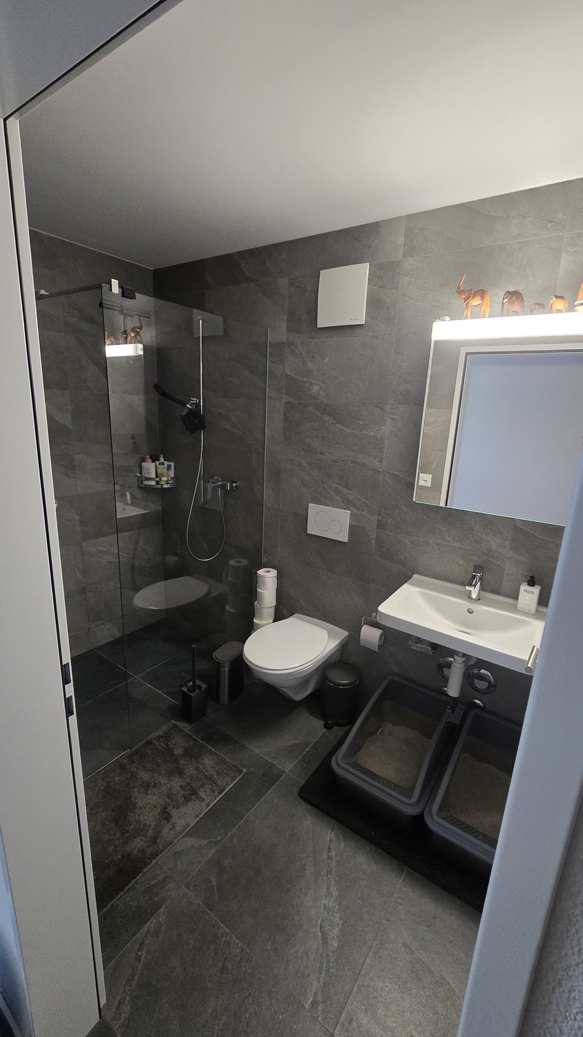 2 ½ rooms apartment, photo 5 of 6