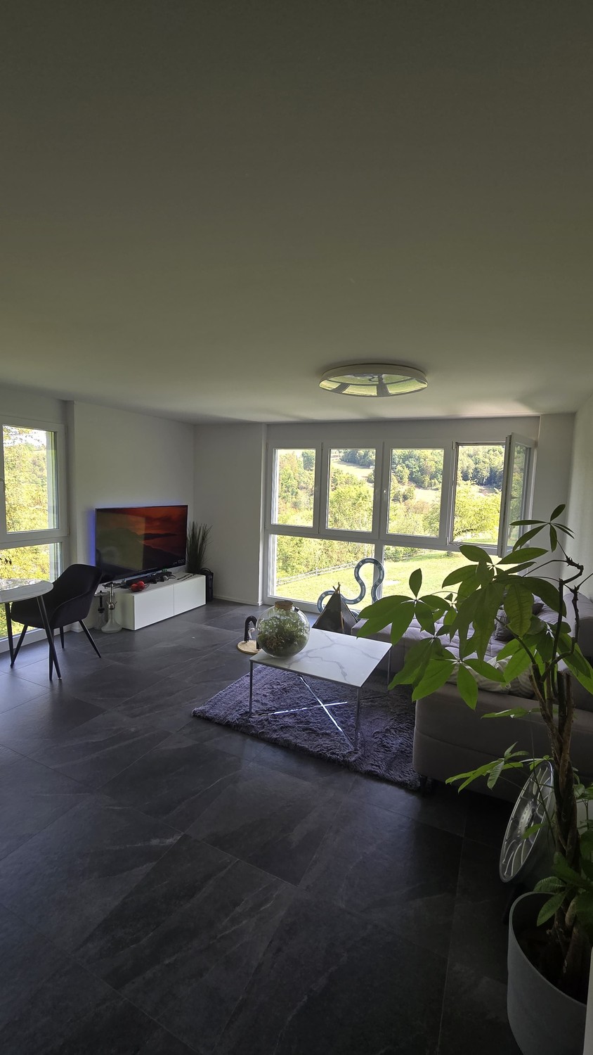 2 ½ rooms apartment, photo 2 of 6