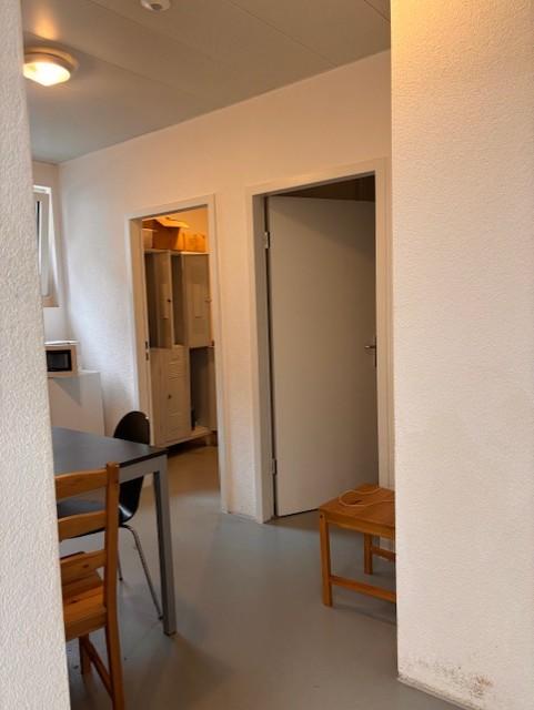 462m² commerciale
