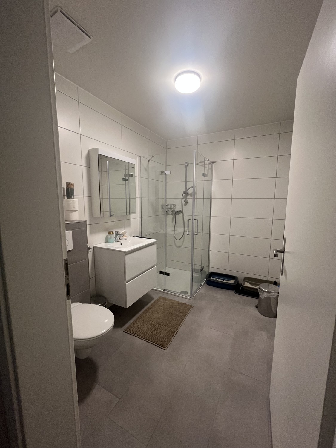 3 ½ rooms apartment, photo 6 sur 10