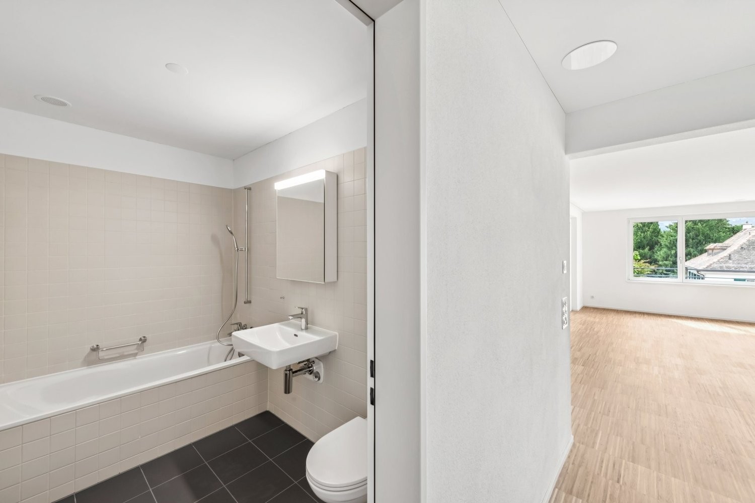 2 ½ rooms apartment