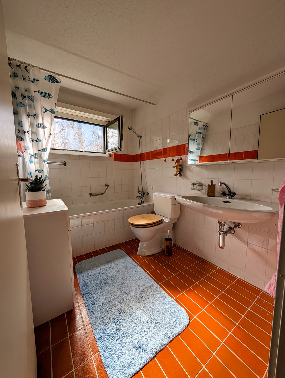 4 ½ rooms apartment